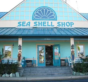 Sea Shell Shop