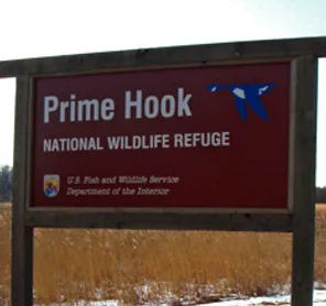 Prime Hook Wildlife Refuge