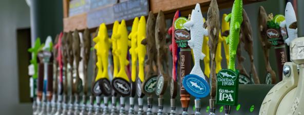 308128820_471293855019074_2919709467825673451_n Dogfish Head Brewery | Visit Rehoboth